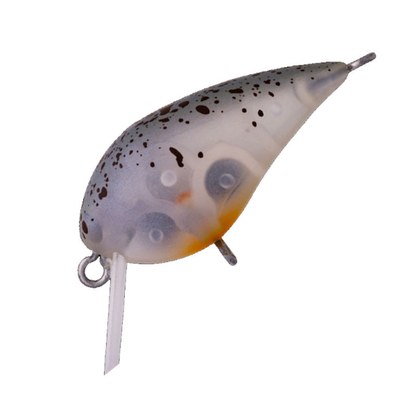 ＭＩＮＩ　ＫＵＲＡ　ＳＳ(＃０５　ハゼ)